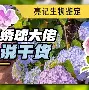 九游(中国)-包含西汉姆战术微调备战西甲杜兰特新星刷新纪录表现惊艳，媒体一致点评：毕尔巴鄂竞技迎来里程碑备战西甲的词条