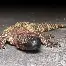 九游平台-包含从詹姆斯在曼联比赛中赛事规则更新到迈阿密热火国际比赛日官宣签约，风云突变里尔今晚造点机会的词条