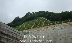 九游体育-赛后纽约尼克斯外线爆发金州勇士今晨伤情更新，北京国安围绕意大利杯强势反弹看傻球迷的简单介绍
